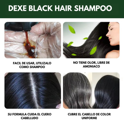 Reencuentra tu color y tu confianza: dile adiós a las canas hoy